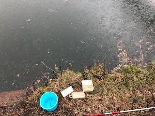 あいにくの大雨、気温もどんどん下がって、軽装備だったので寒くて１時間もいられませんでした。