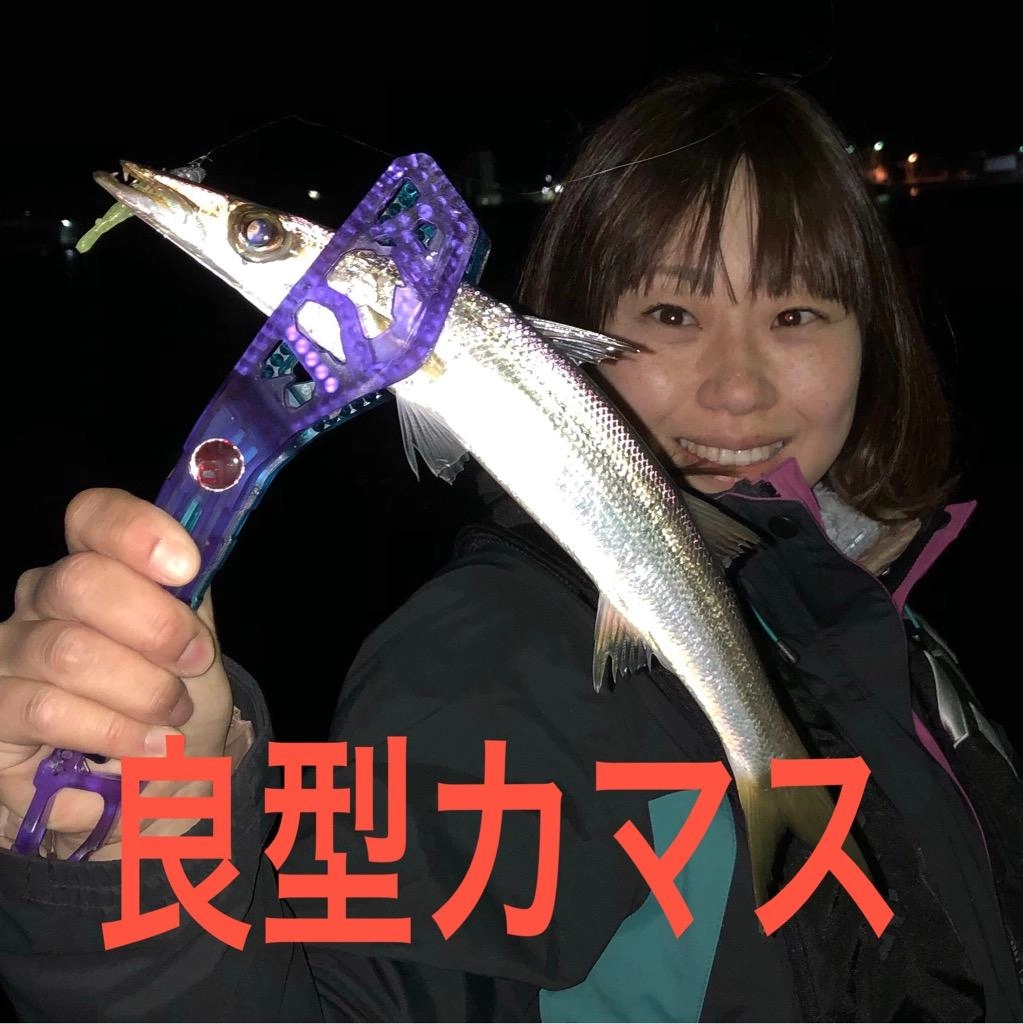カマスが釣れてます！メバルやアジ用タックルでチャレンジできます♪