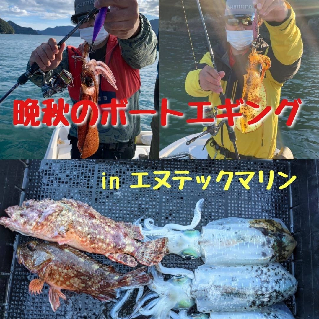 【イシグロ半田店】【エヌテックマリン】レンタルボートをお借りして晩秋のティップランに行ってきました!!