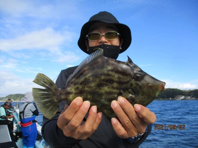 いつもの常連様は初秋❷❼㌢デカカワハギを釣り上げめちゃめちゃ嬉しそうでしたッ(о´∀`о)