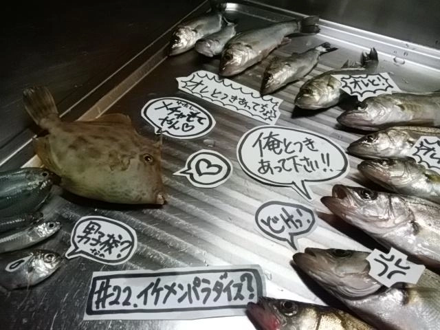 セイゴ攻略？