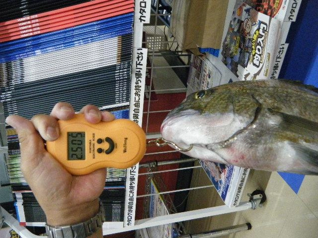 大物２．５キロ！！