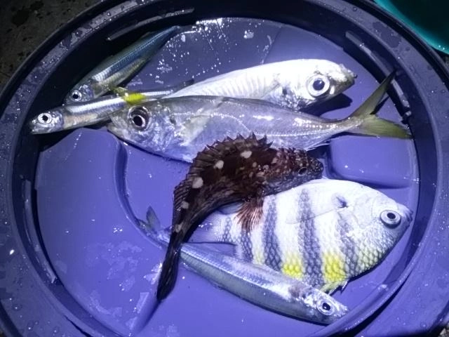 色々です