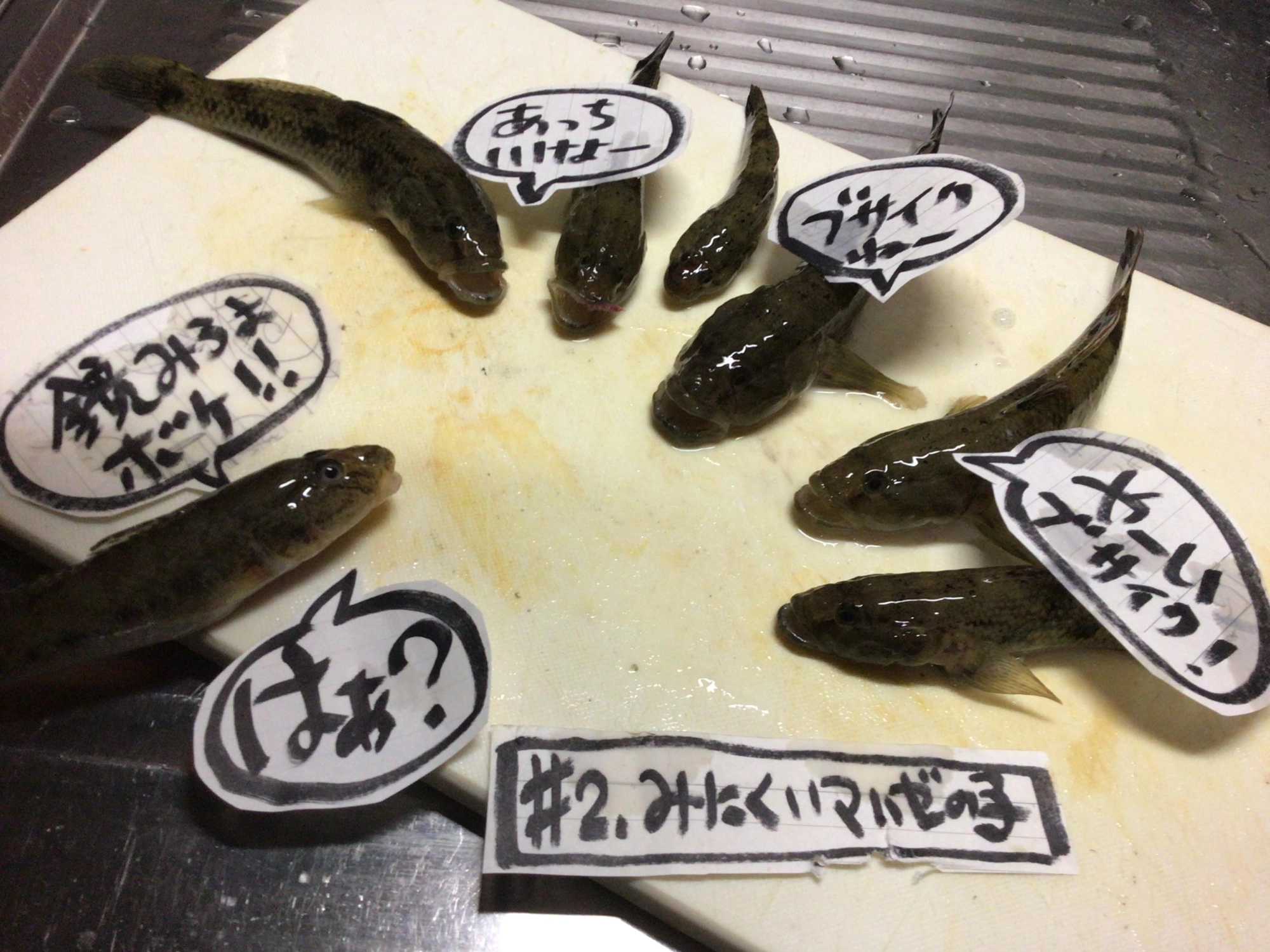 デカハゼ７連チャン❗️、、、ナイススポット発見(￣3￣)