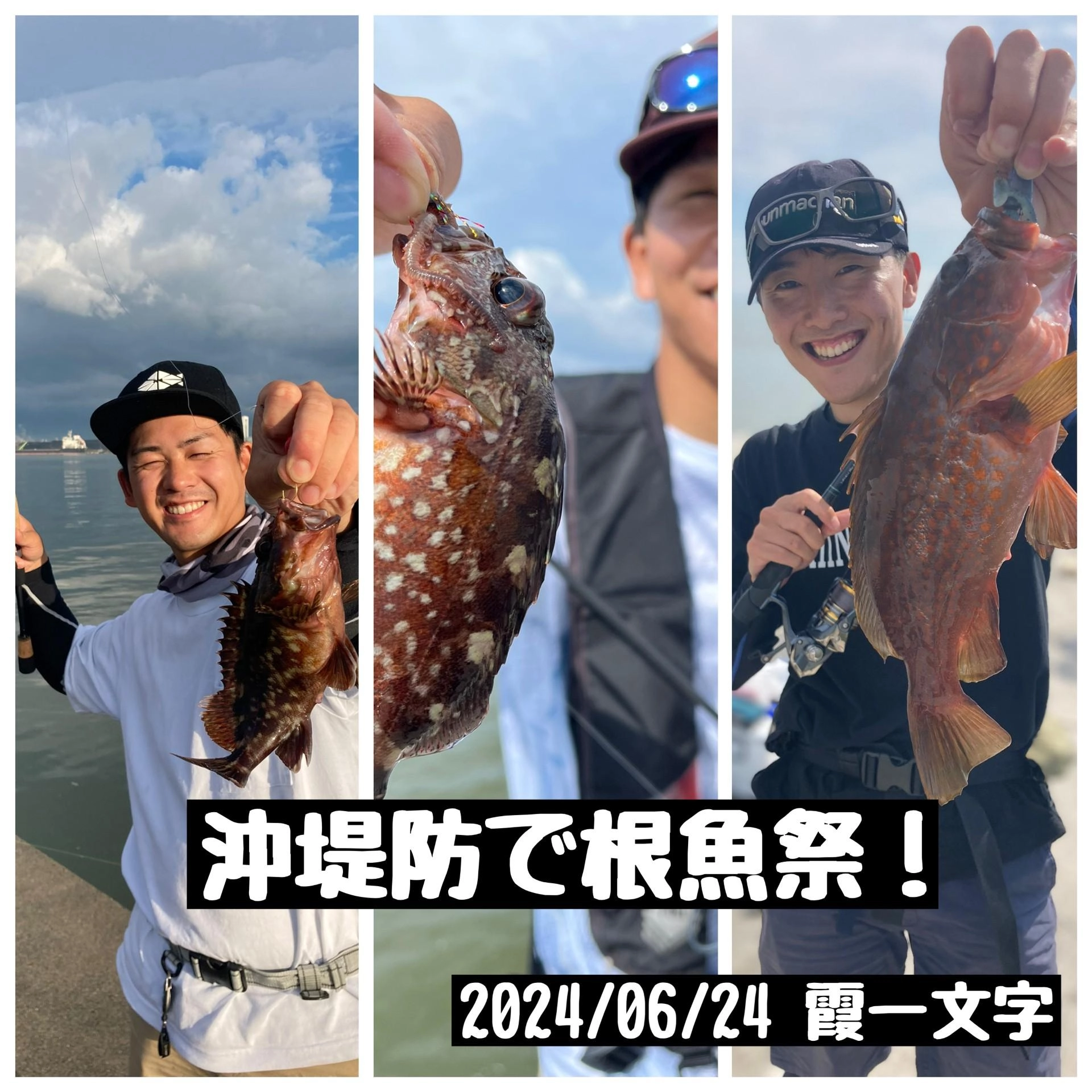 カサゴ・キジハタが釣れました！バーサタイルシャッドの新色が活躍！日によってはヒラメやシーバスも釣れるとの事！