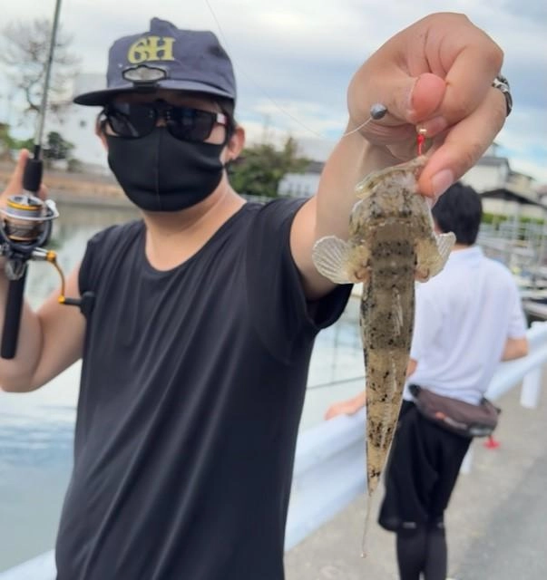 今日イチでかいのはウロハゼ？？20ｃｍありました。