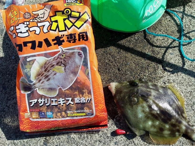 アサリエキス配合の対カワハギ集魚剤！にぎってポンと入れるだけでどんどん寄りますよ！