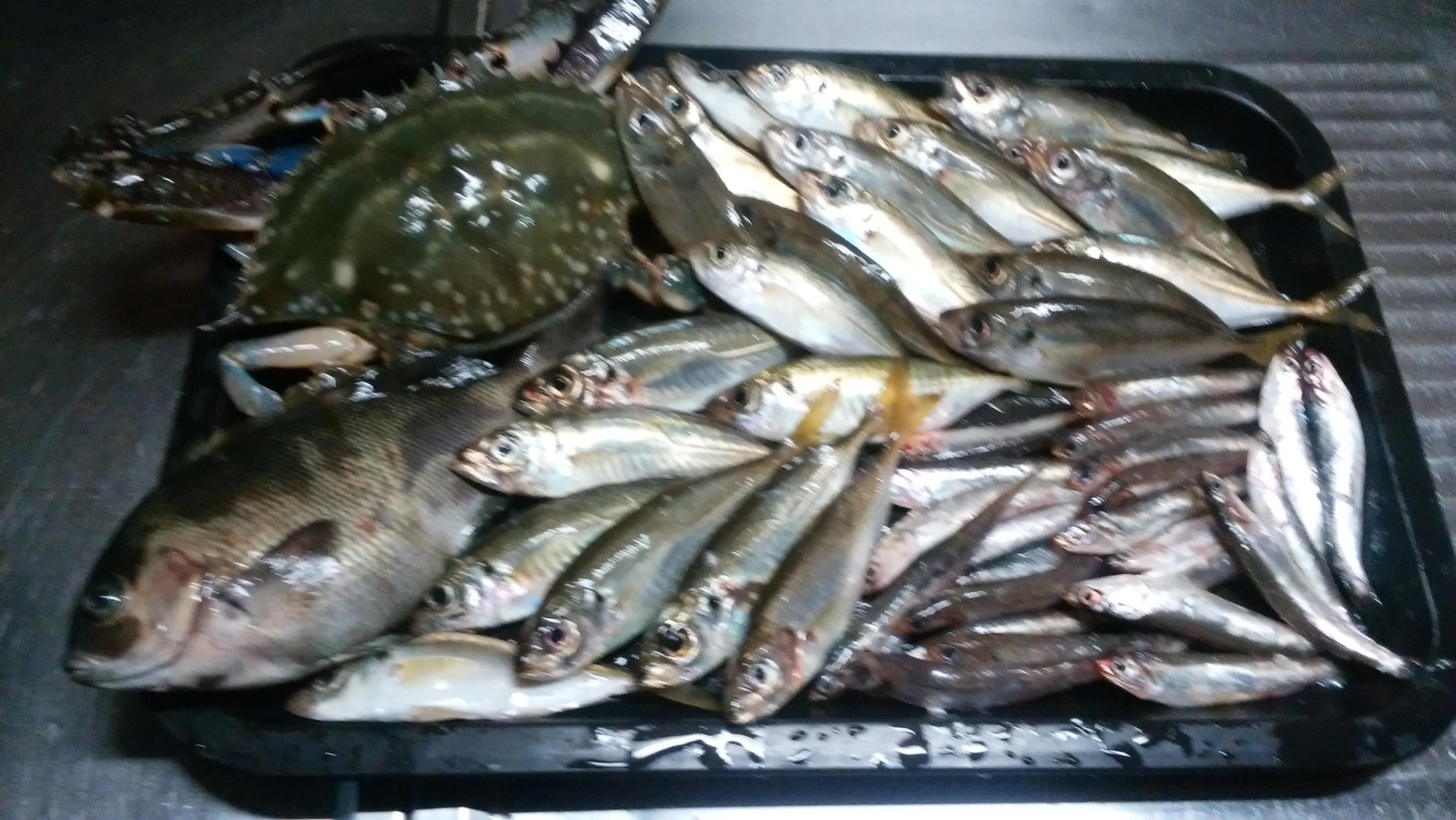 恵みに感謝！