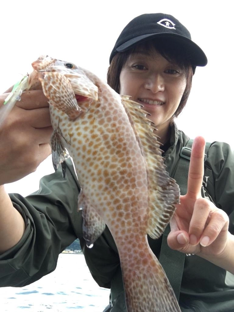 青物の回遊がない時に必須のキャスラバ！もちろん青物も釣れます！