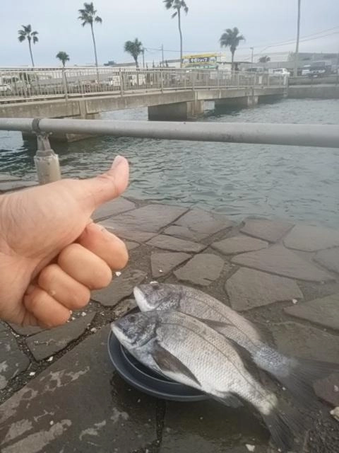 ギフトに感謝だべ