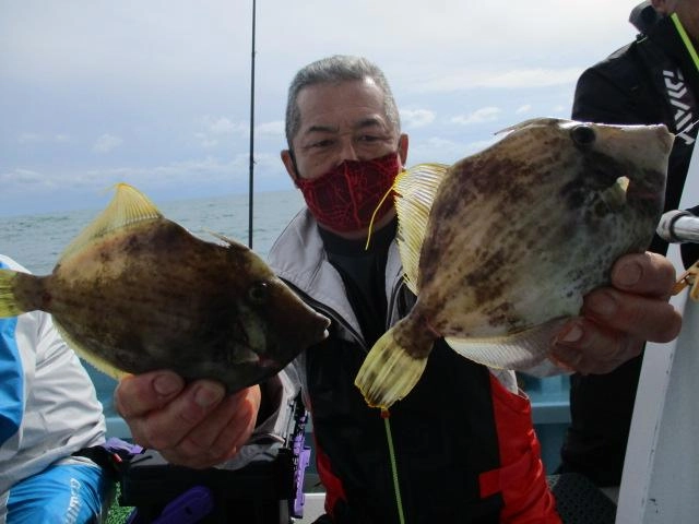 今シーズンから『純粋カワハギ釣り』始めた常連様はキョーイチのデカハギを釣り上げましたよッ(°▽°)
