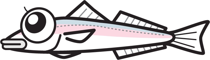 ようやく釣れ始めて来ました！