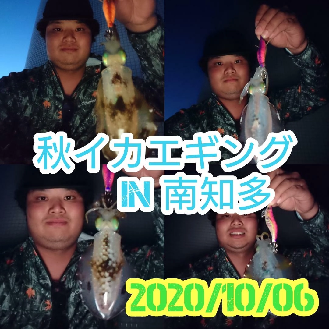 知多半島に秋イカ調査に行ってきました！！