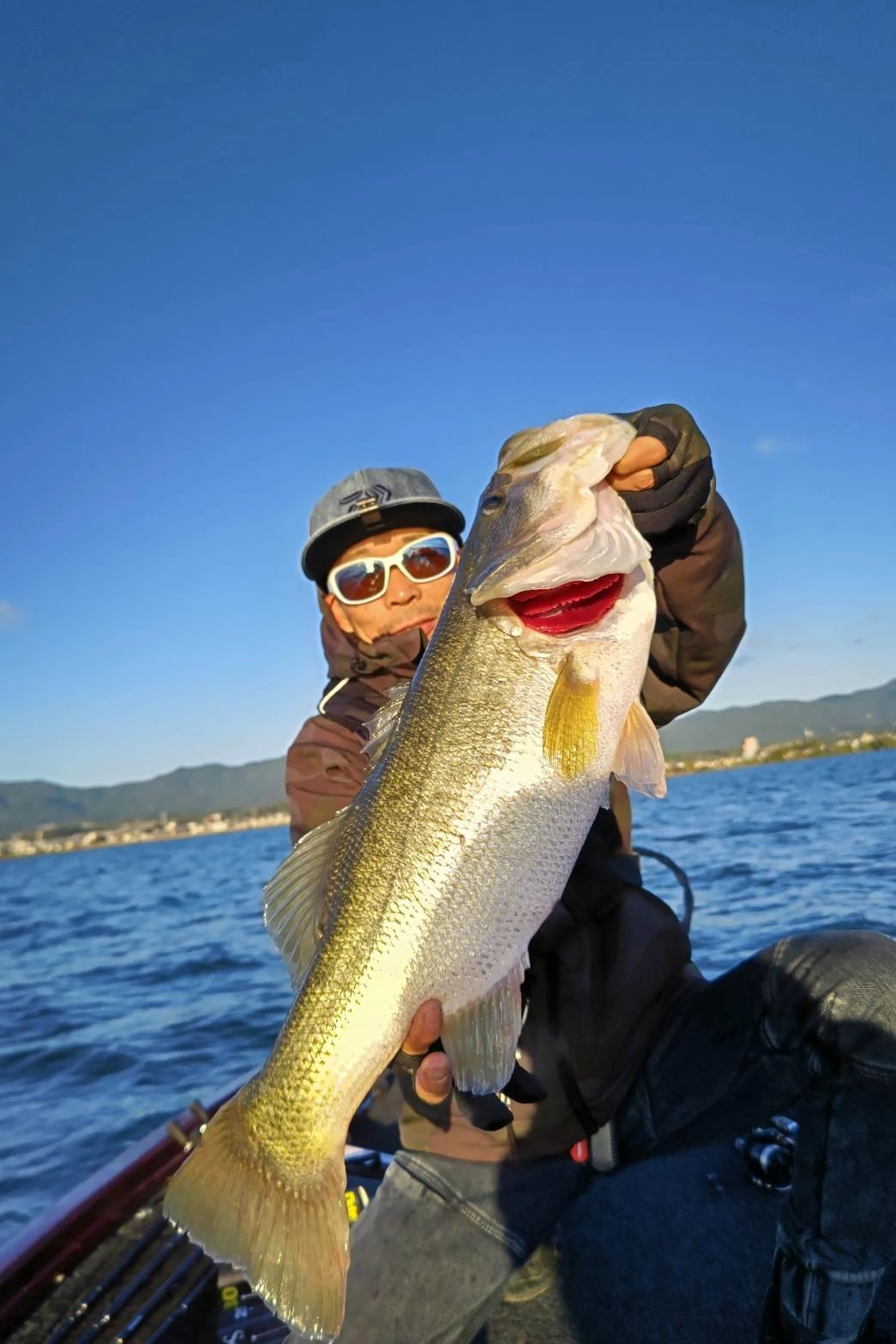 61.5センチ