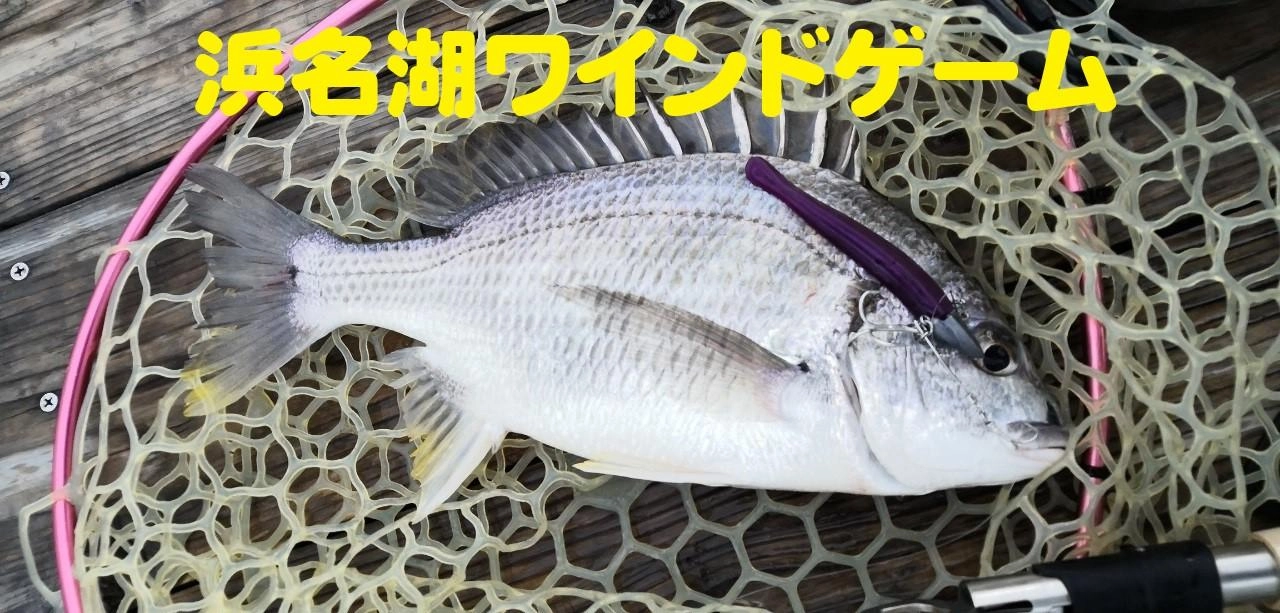 雨上がりの浜名湖でワインドゲーム。トップへのチェイスも多くあり、この日はスミスチヌペンＦＷへの反応が良かったです。
