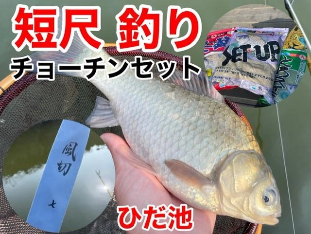 FRR3lrPKbgKdmpEa.jpg.webp?itok