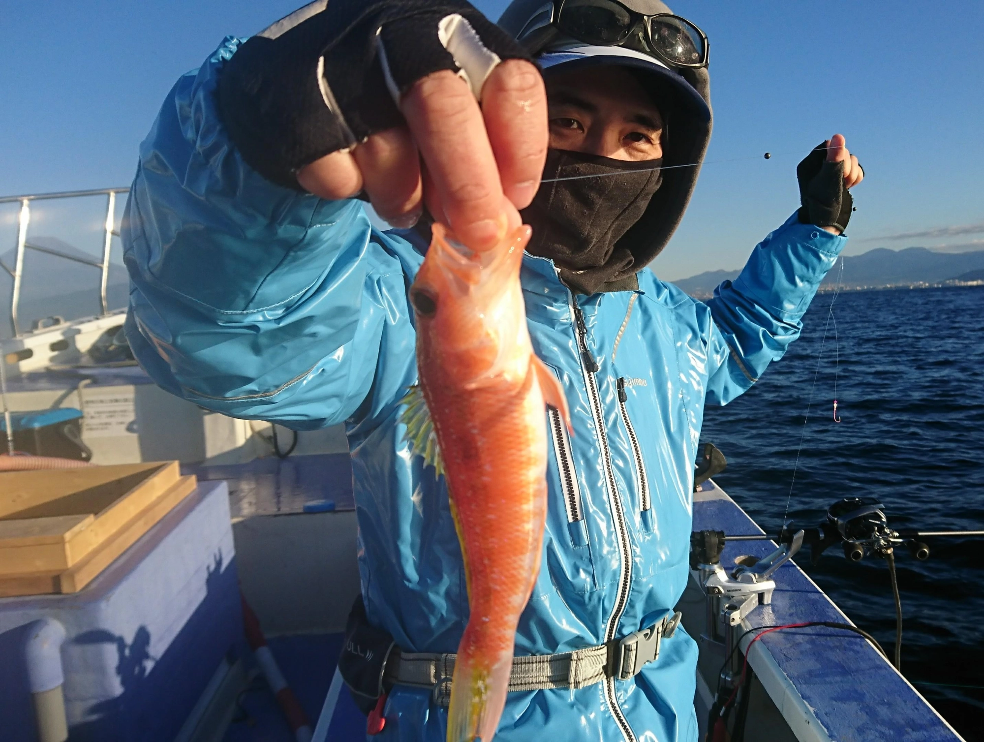 高級魚アカボラも多数釣れました！