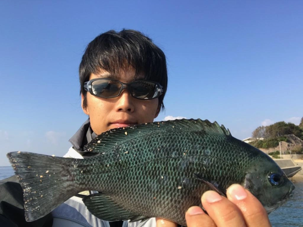 小型ですがメジナゲット！