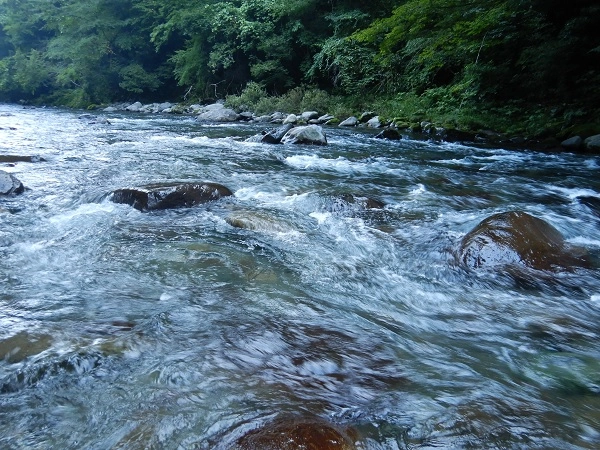 亀尾島川下流域