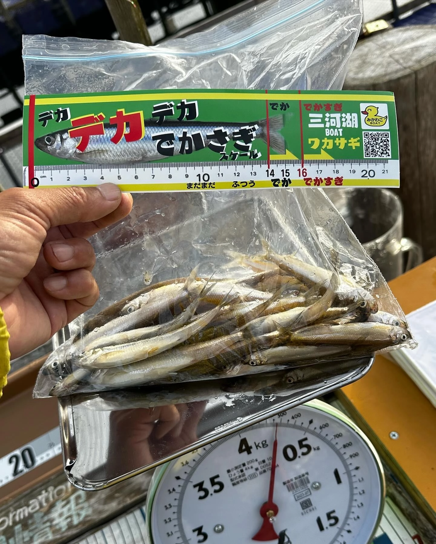 39匹でこのボリューム感♪234gありましたー