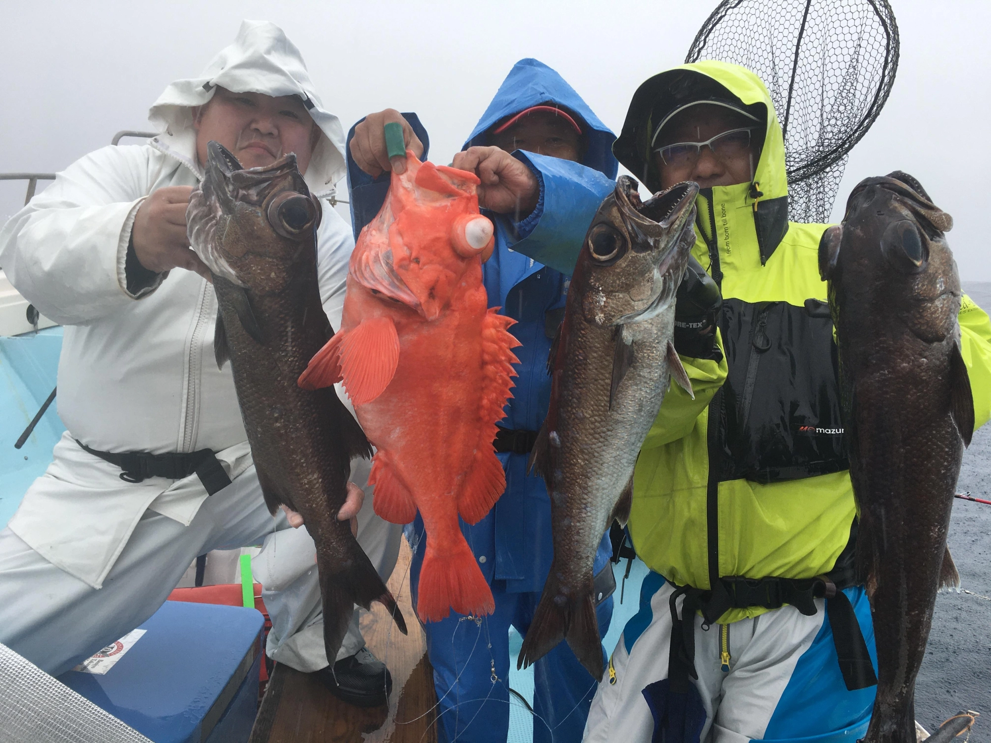 大型高級根魚　4人同時ヒット！^_^