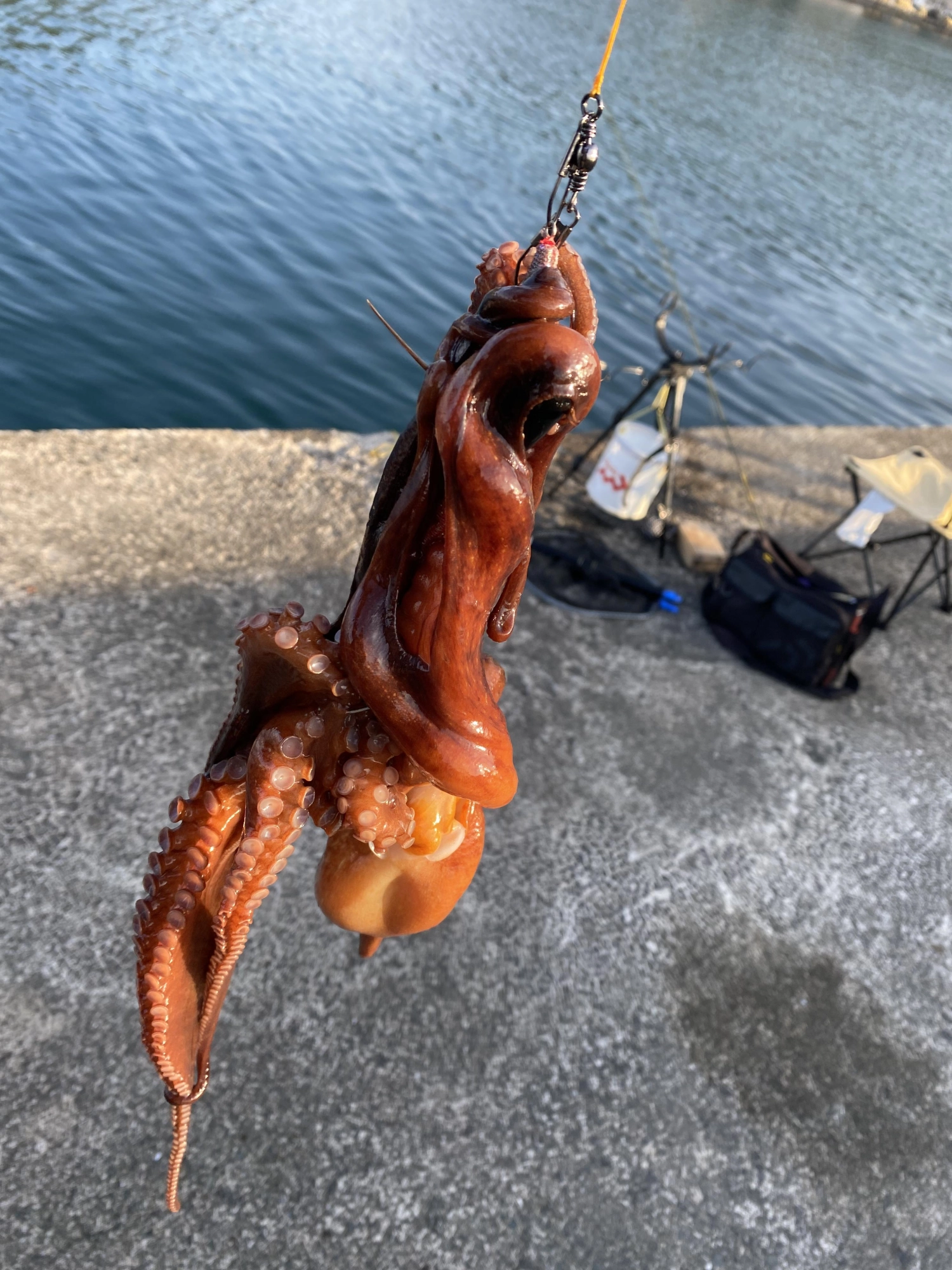 430g