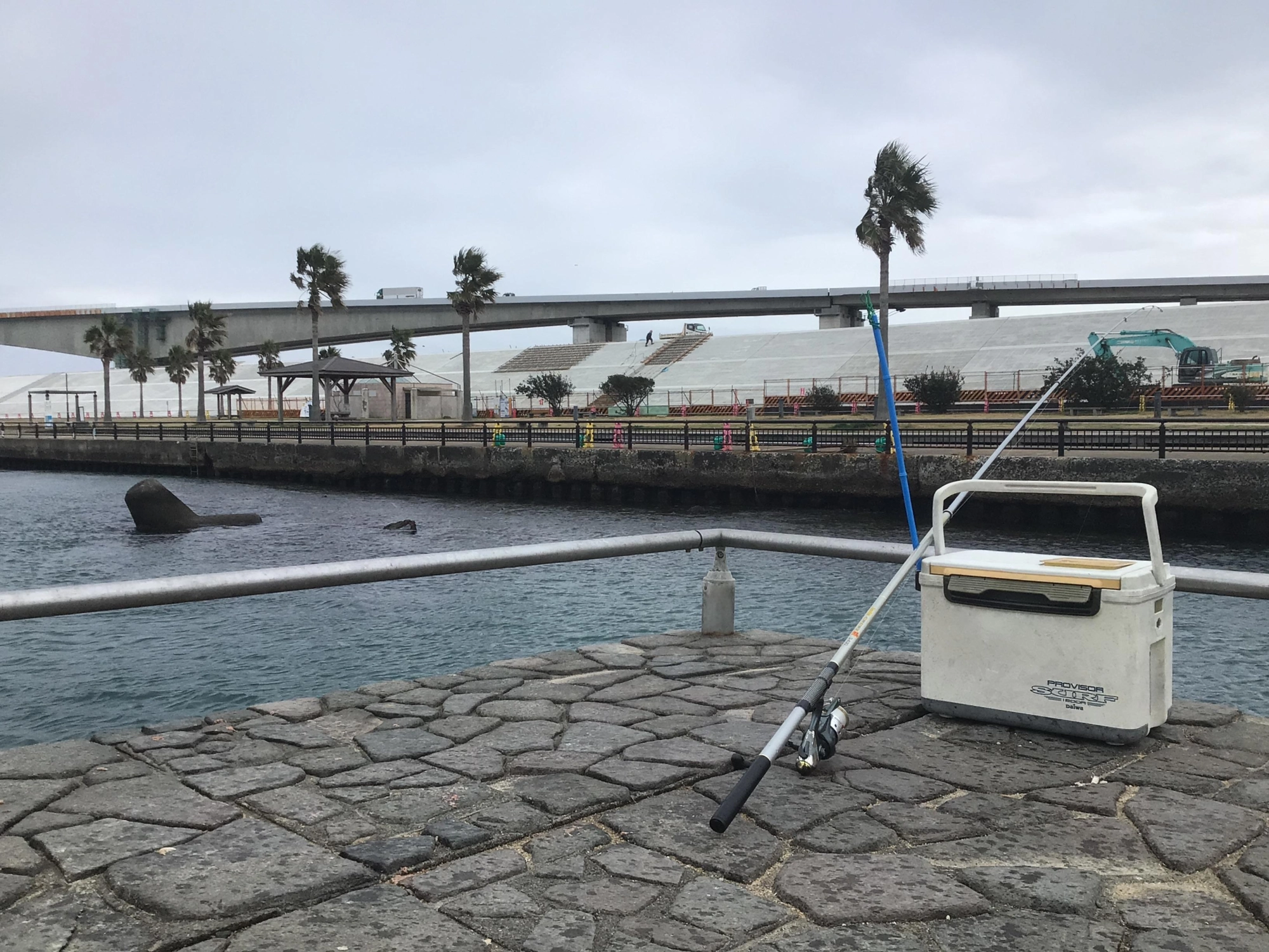 今日は曇りのち雨でした。