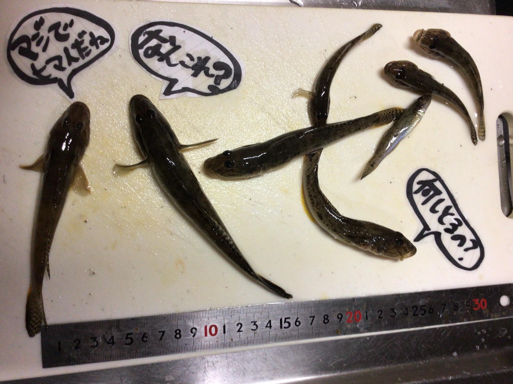 人文字的な(￣д￣;)jヤツ、、、、ヒマな人ね、、、。