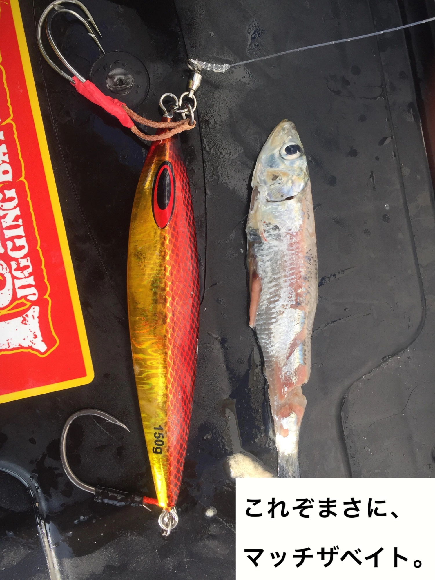イシグロ鳴海店 伊勢湾ジギング爆釣中!!今がチャンス!!! | 釣具