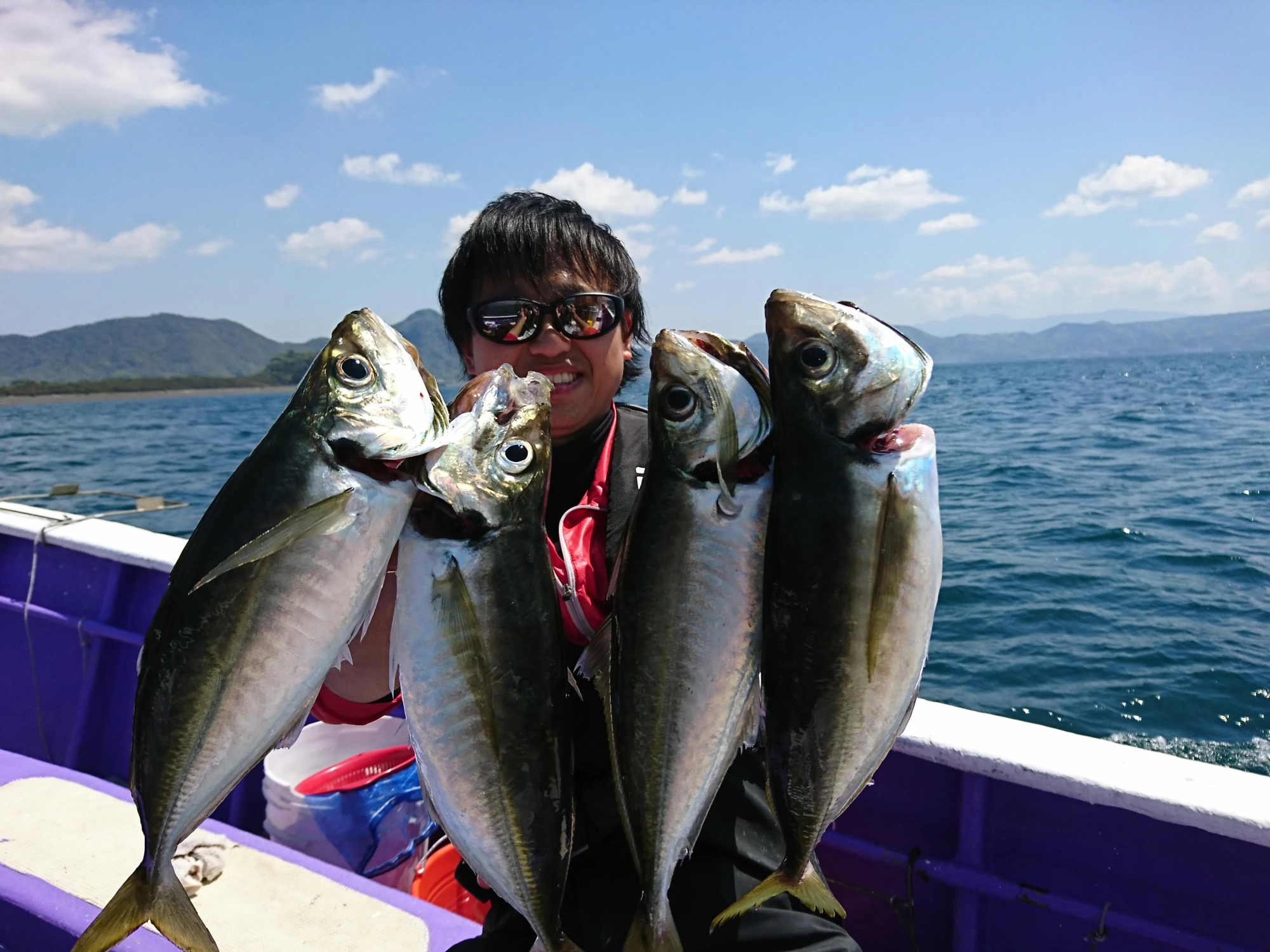 沼津沖で良型の絶品アジが釣れております！！