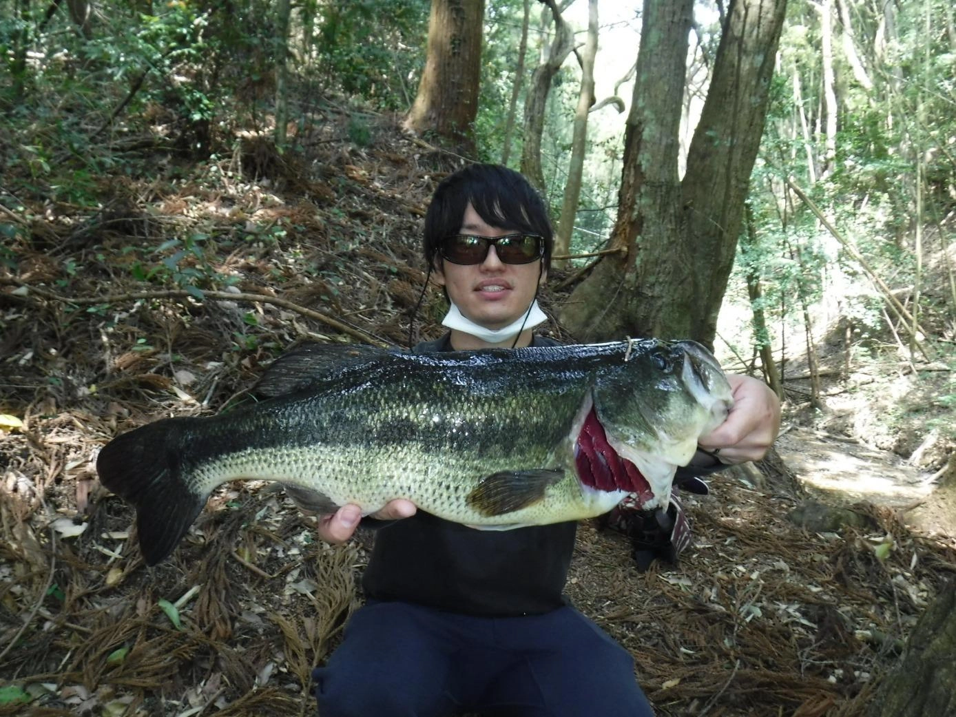 出ました！野池の５０ｃｍオーバー！