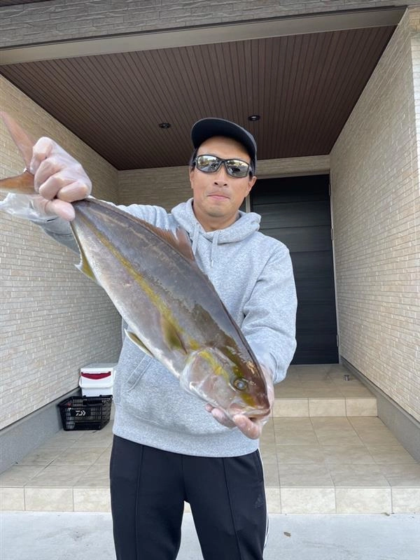 戸田湾内ボート釣りでカンパチ釣れてます！