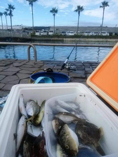 恵みに感謝♪