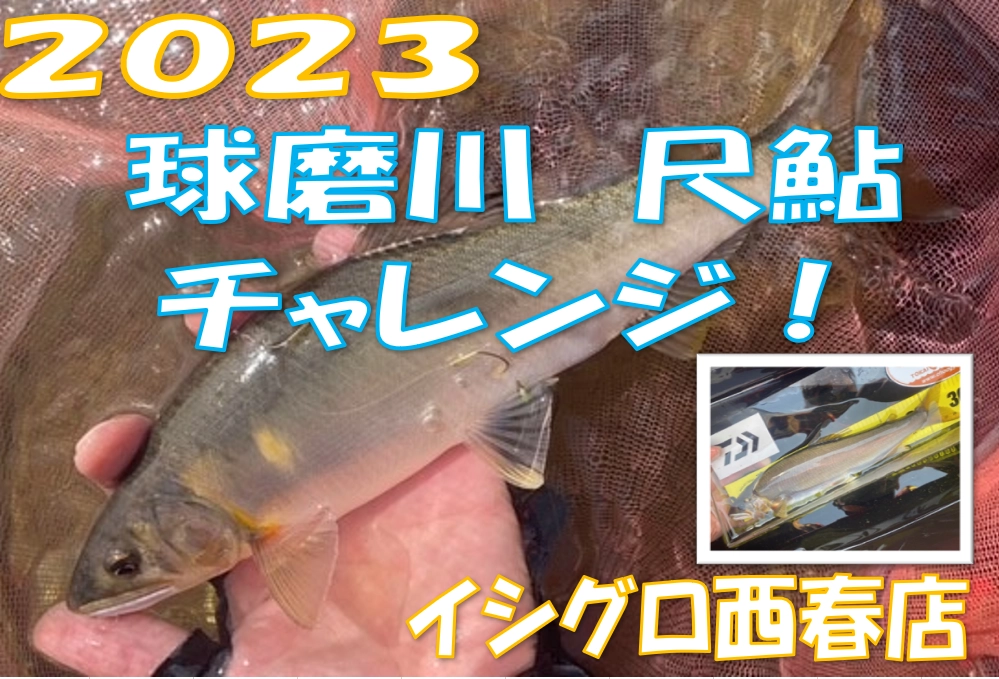 2023球磨川尺鮎チャレンジしてきました！