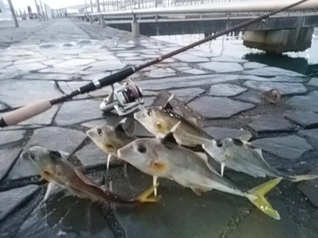 カワイイ