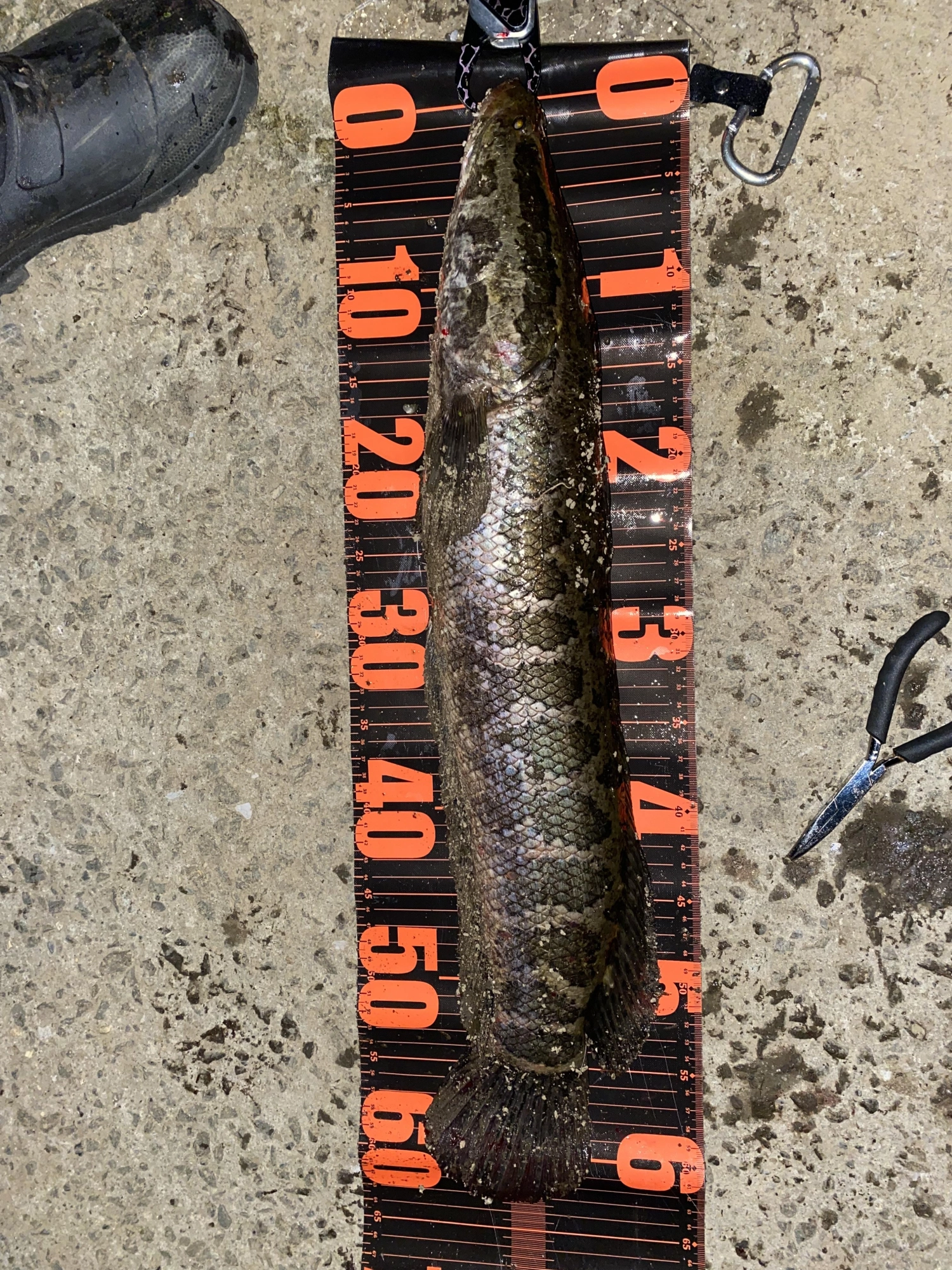 2､05kg