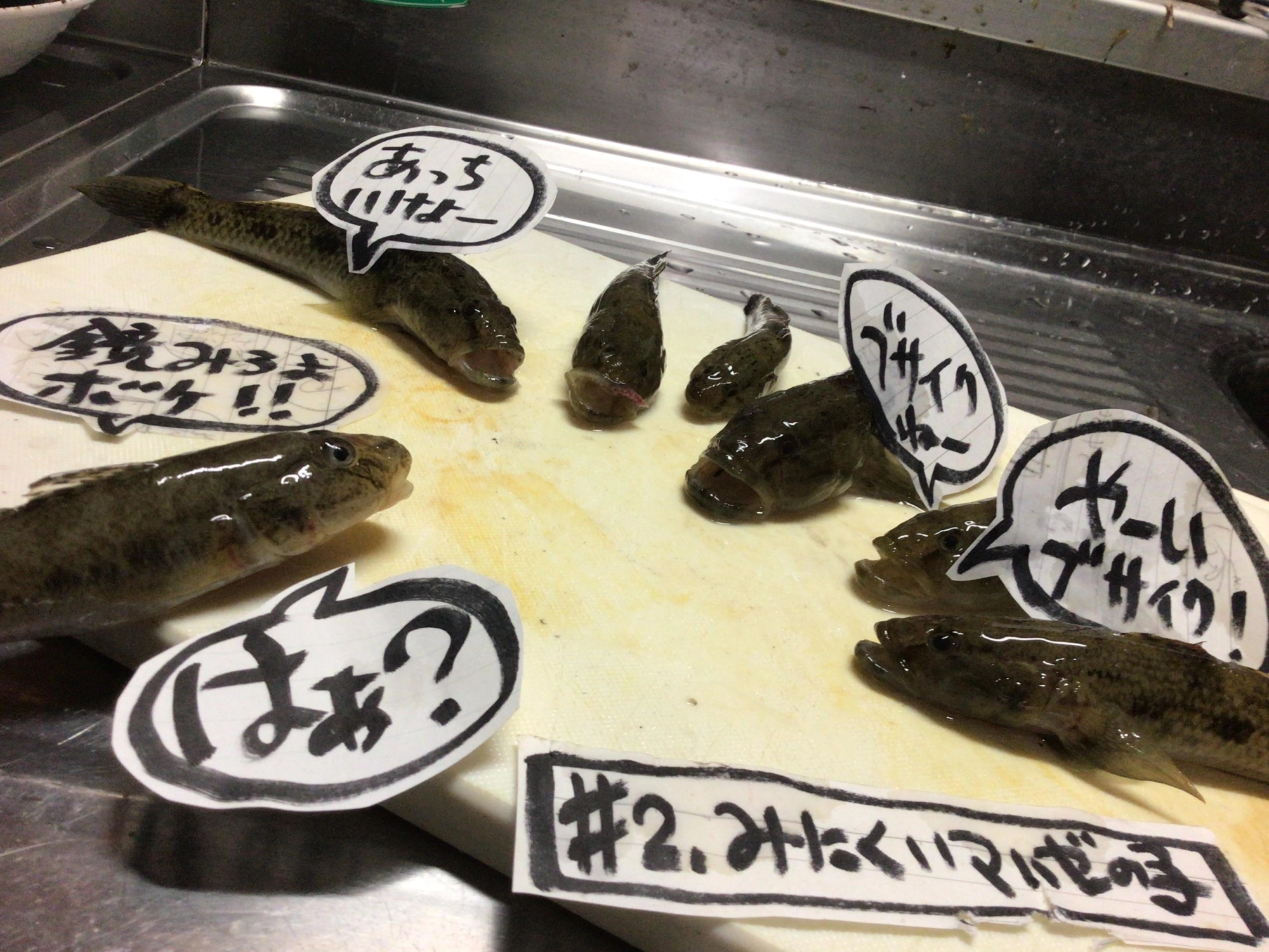 そうです、私がひまじんデス❗️、、、ゴメんね(T◇T)/