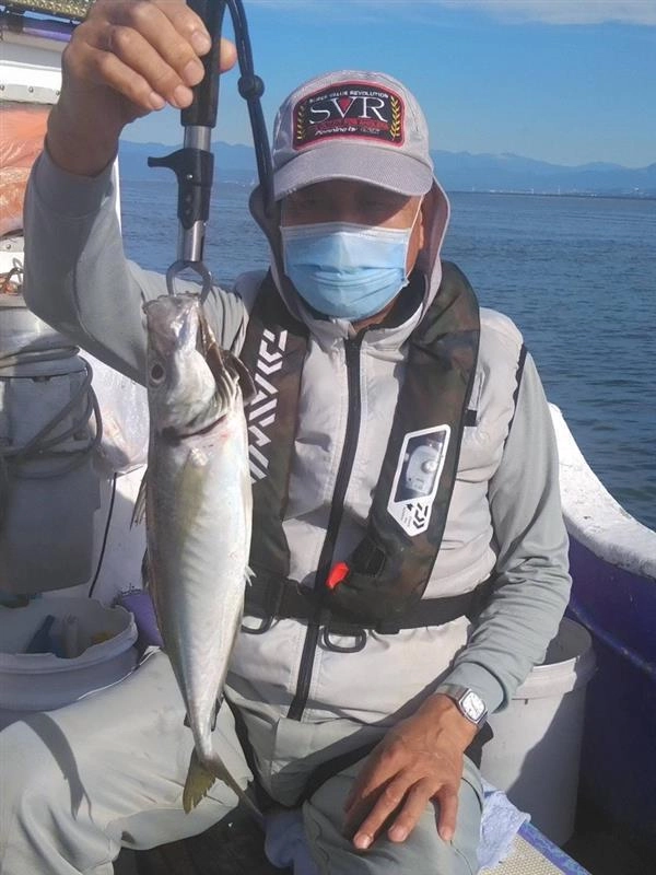 沼津沖深場の良型マアジ釣れてます！最高に美味しいアジなのでぜひ皆様もチャレンジしてみて下さい!!