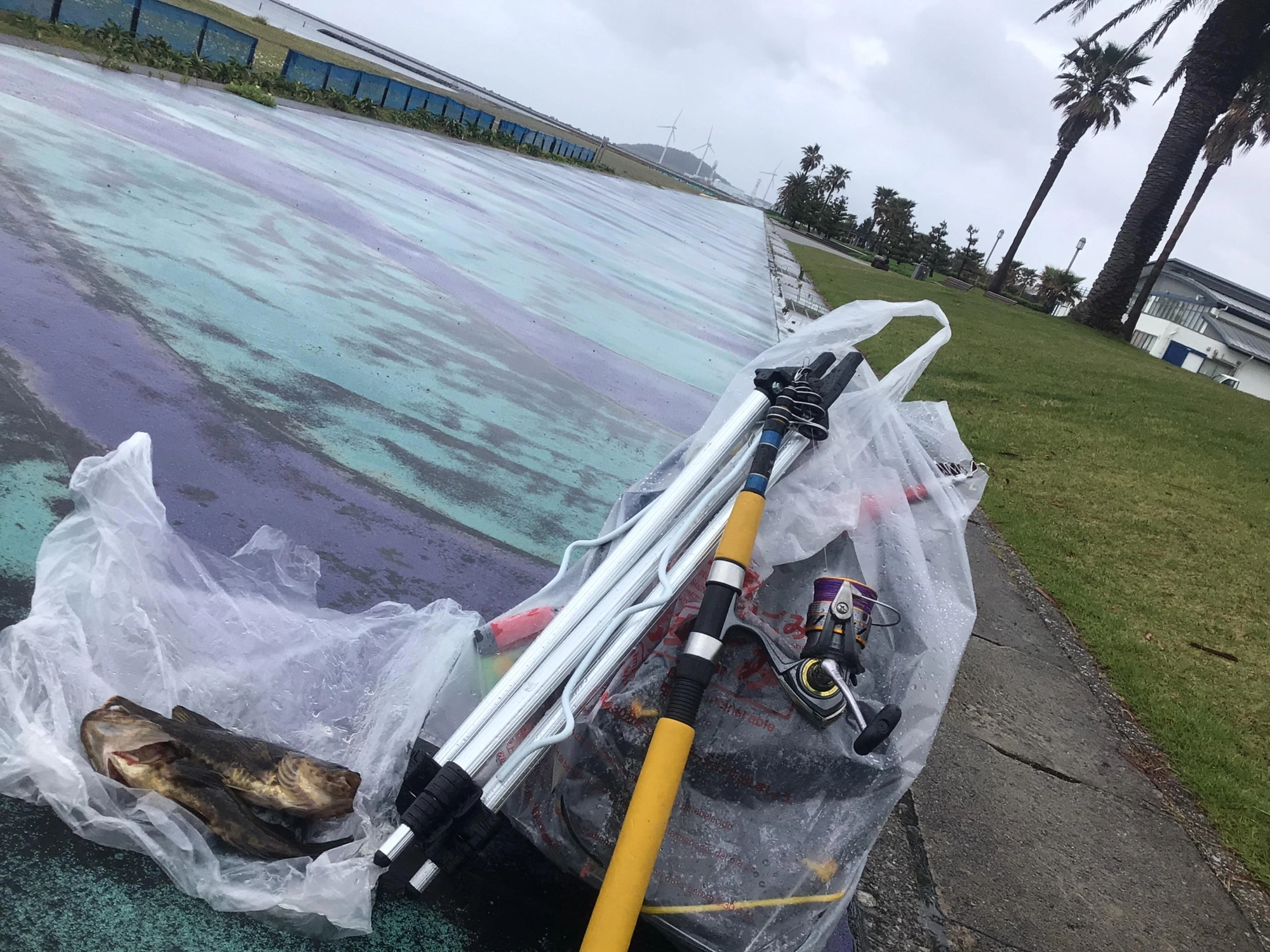 シロギスは完敗、、、タケノコさんに感謝デス❗️