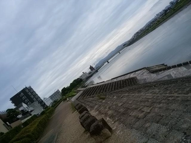 新エリア