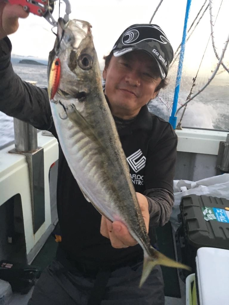 只今三国沖ＳＬＪでメガアジ釣れていますよ！ジグは４０ｇでＯＫ！