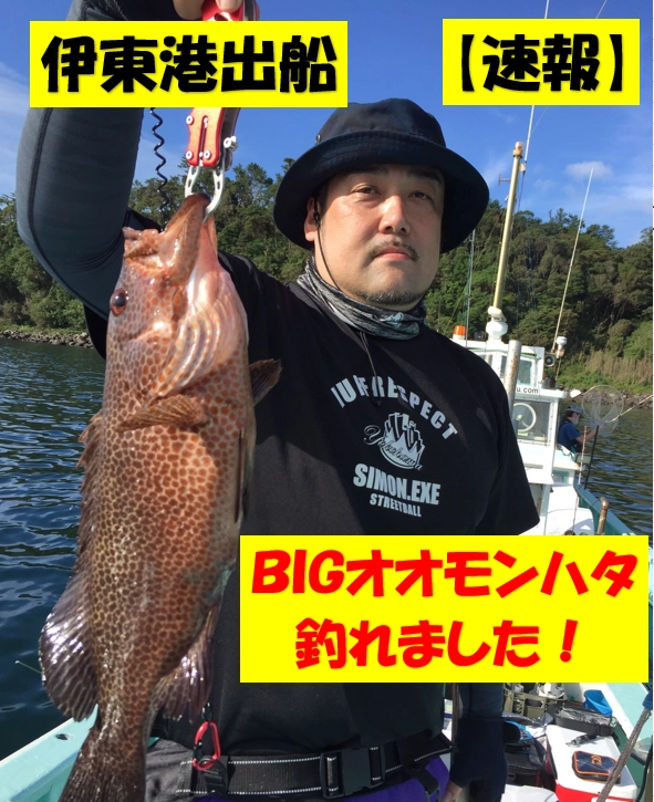 伊東港　達丸さん　オオモンハタ　46㎝/48ｃｍ/53㎝　釣れました！