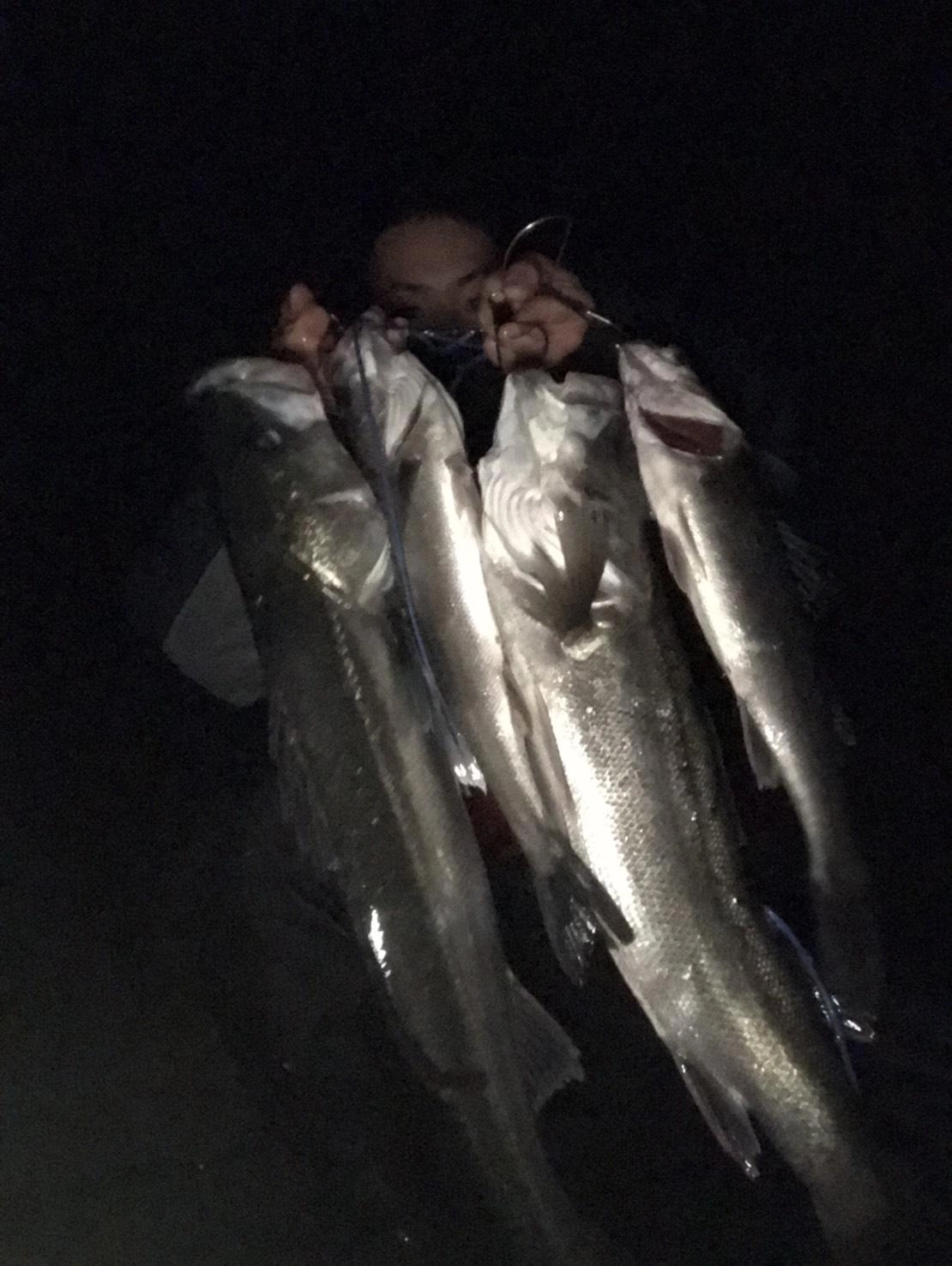 数も釣れています！