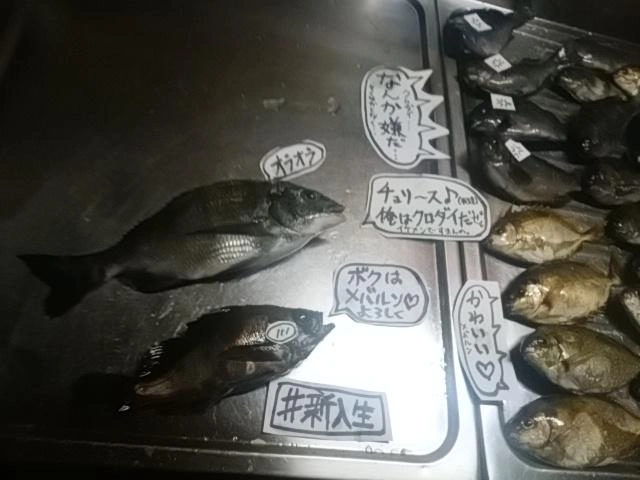 リベンジかな
