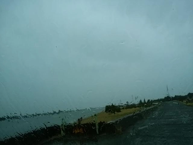 雨だ