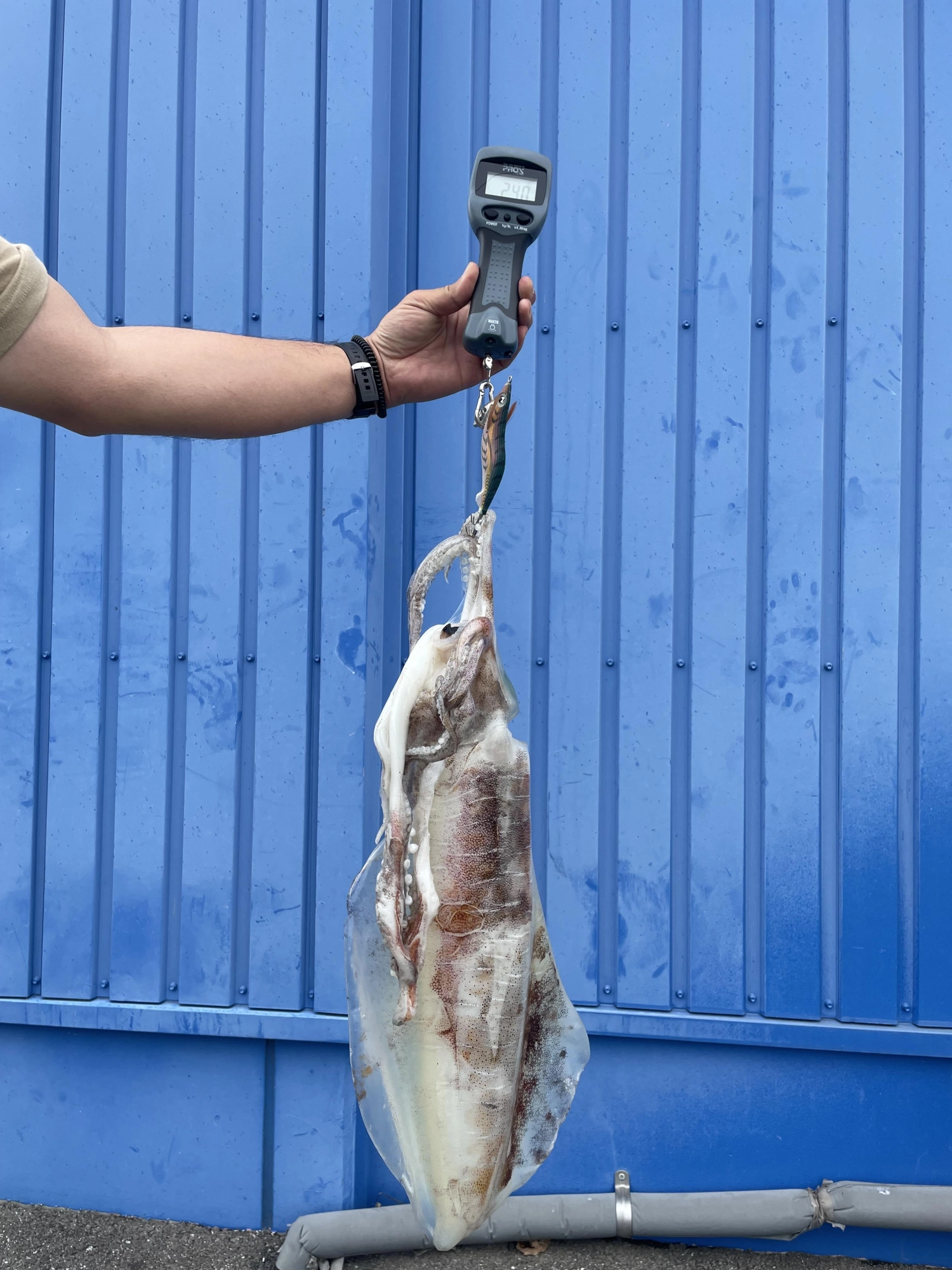 釣り場の雰囲気では3キロあると思いましたが、まぁーこれでも十分です！