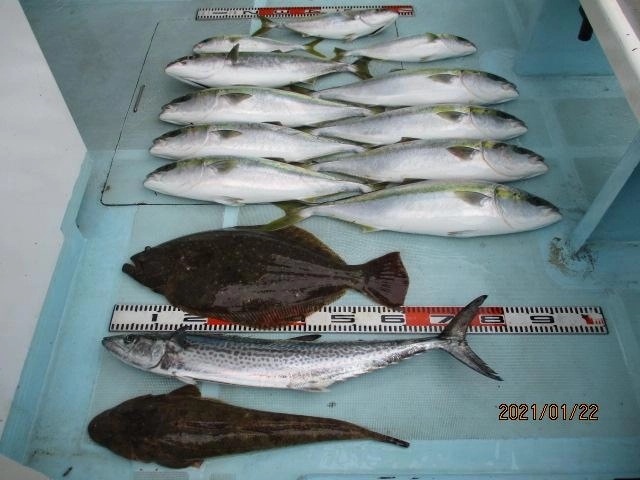 片舷だけの釣果ッ(^-^)デカザワラ、肉厚寒ビラメ、デカマゴチ、ワラサ、ハマチッ‼︎