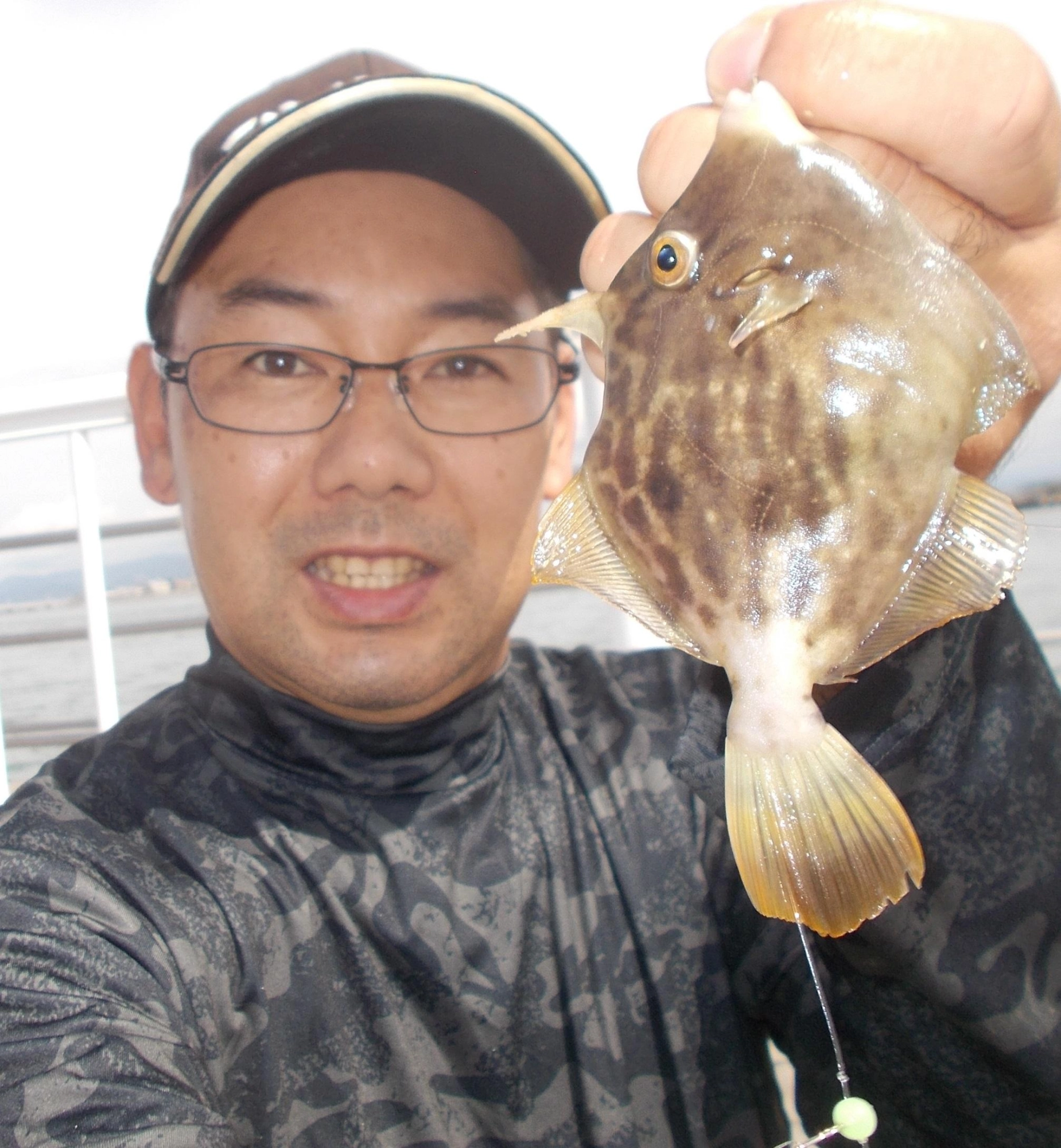 泳がせ釣りしてる合間にカワハギを狙いました。エサ取り上手なので釣れると感激！今年はカワハギが多いですよ。