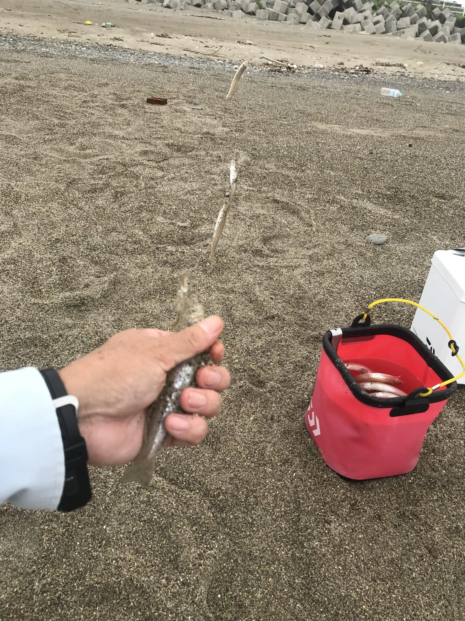 ５連です。