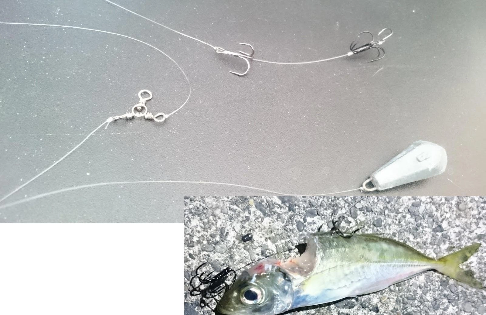 イカ・底物・青物の３対応欲張り胴付き仕掛けです。
先端のカン付きチヌ針を口掛けして、のませ針を頭、トレブルフックを背掛けしました。
前は写真の通り合わせが上手く行かず、アオリイカ齧られて失敗しましたが、今日は完全に向こうアワセ掛かりました。